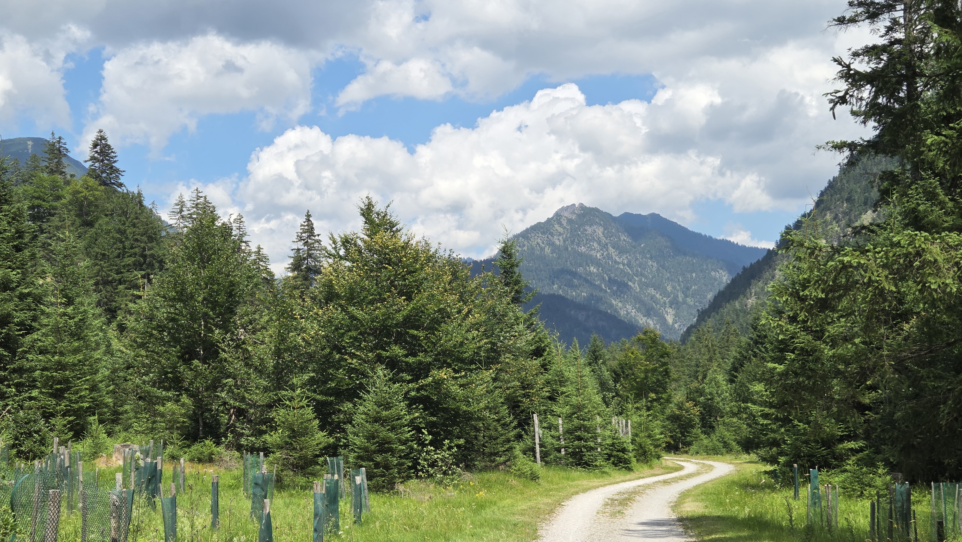 Natur 02