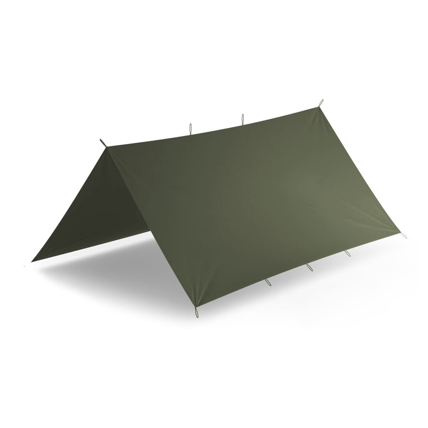 Tarp